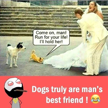 Memes & Satire image