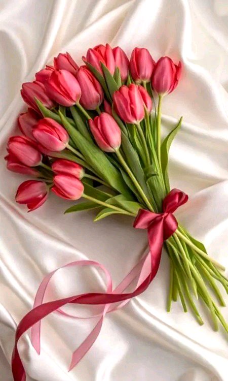 Beautiful Nature image