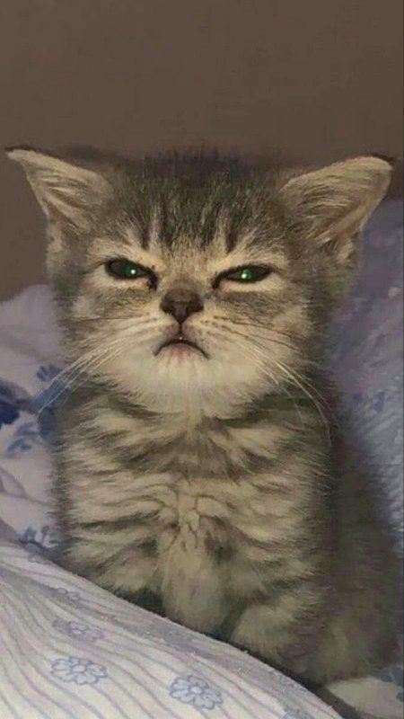 Beautiful Nature image