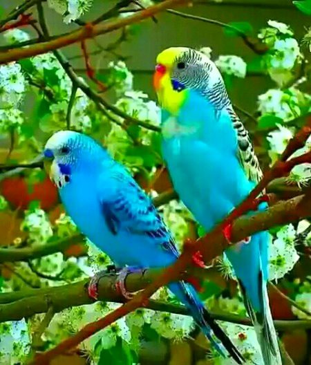 Beautiful Nature image