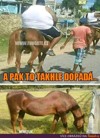 Memes & Satire image