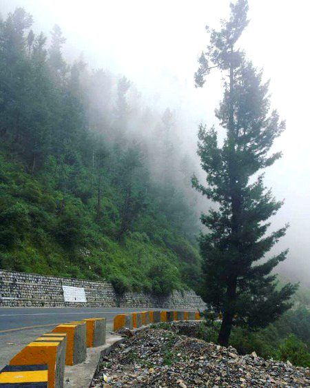 Beautiful Nature image