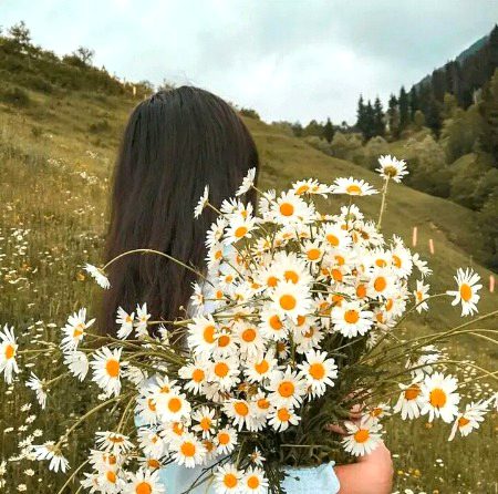 Beautiful Nature image