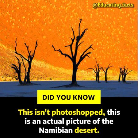 Interesting Posts image