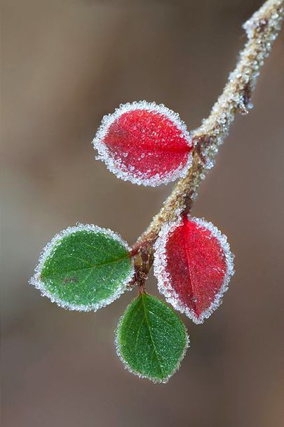 Beautiful Nature image