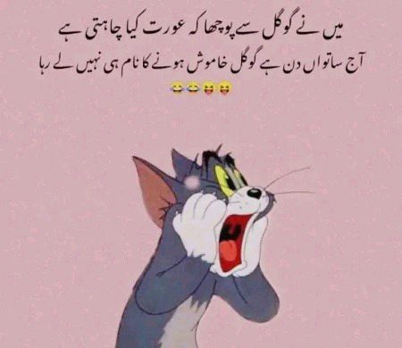 Memes & Satire image