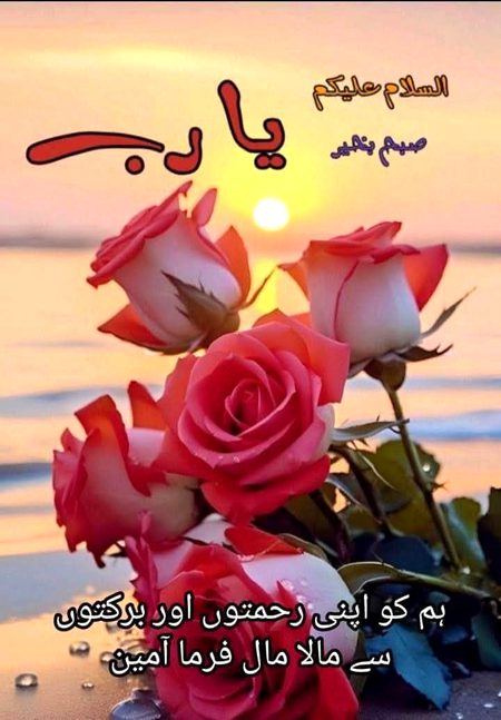 Assalam O Alaikum