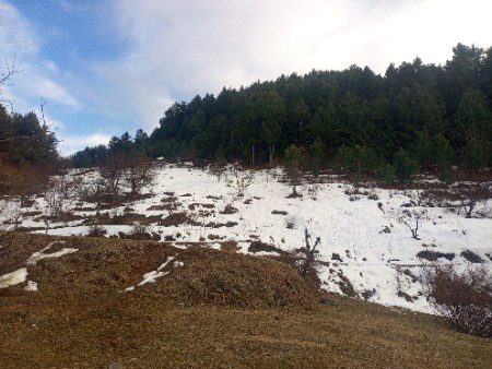 السلام عليكم ورحمة الله وبركاته صباح الخير 💞