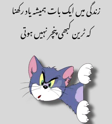 Saanaam ❣️❣️ or mry waady b jhooty nh hogye