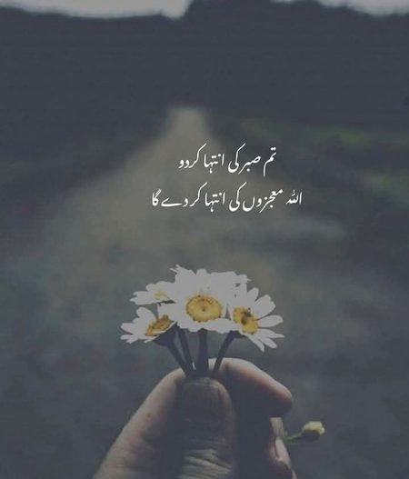 Beshak.....