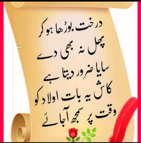 💔 ...کاش... 💔