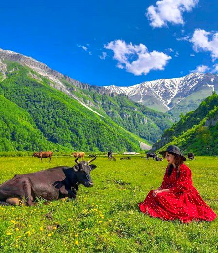 Beautiful Nature image