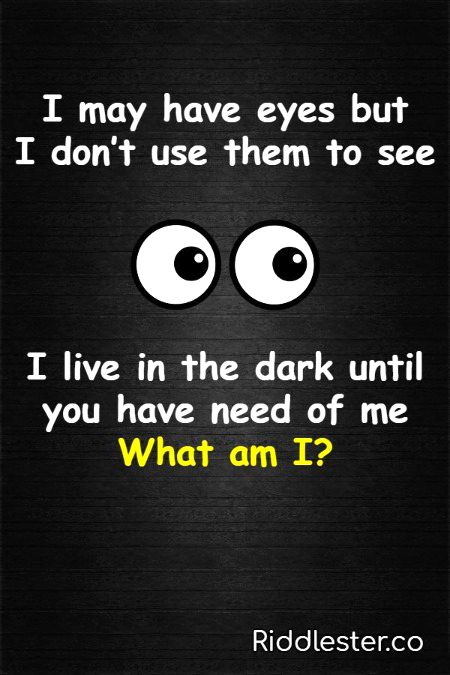 Riddles & Puzzles image