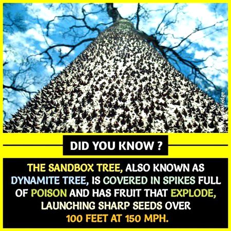 Interesting Posts image