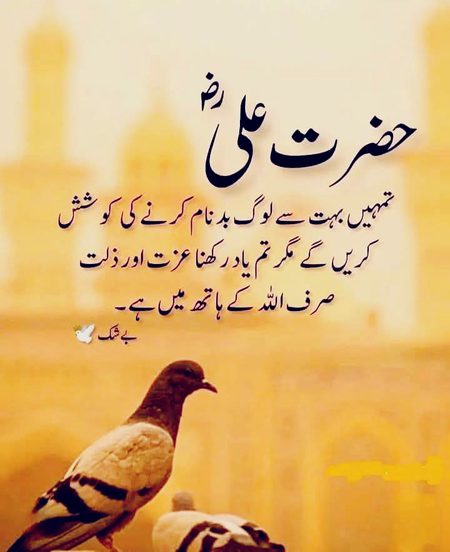 Islamic Quotes image