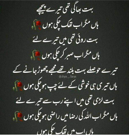 Like m❤❤