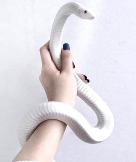 پھیل   گیا   ہے  دلوں میں  آسیب  کی مانند___!!!!
زہر   اب   تو   سانپ  کی زباں میں نہیں رہا_____؟؟؟