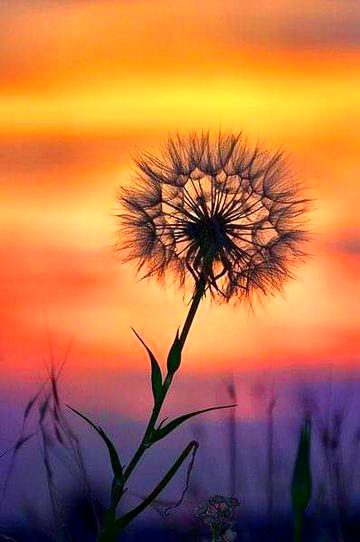 Beautiful Nature image