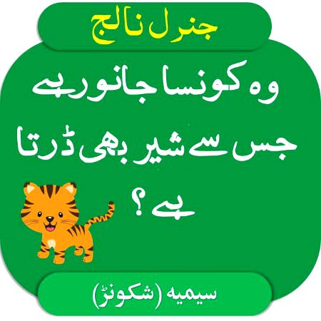 Riddles & Puzzles image