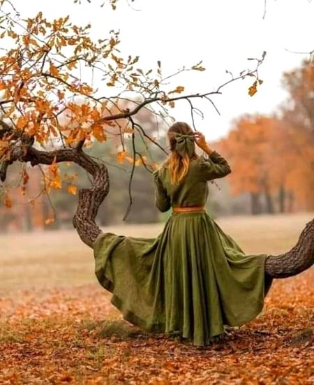 Beautiful Nature image