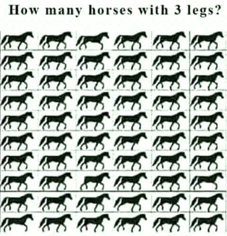 Riddles & Puzzles image
