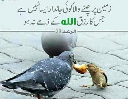 Islamic Quotes image