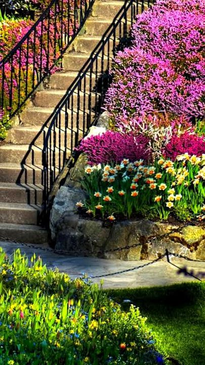 Beautiful Nature image