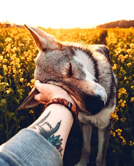 Beautiful Nature image