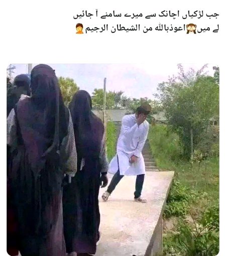 Memes & Satire image