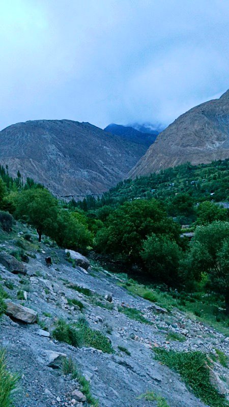 Beautiful Nature image