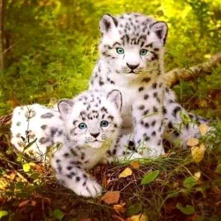 Beautiful Nature image