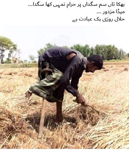 A hondin kam krny waly. Like