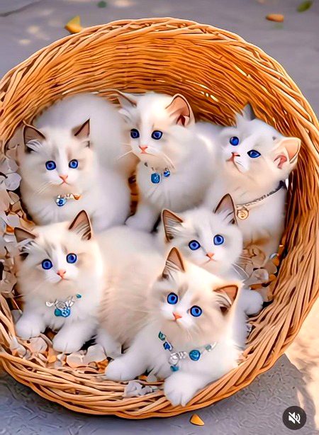 Beautiful Nature image