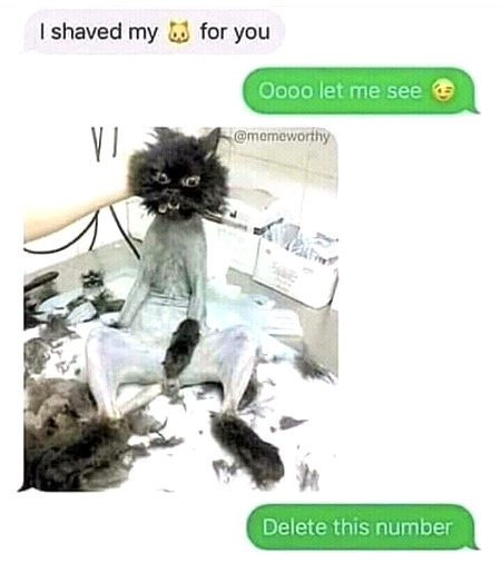 This pu**y