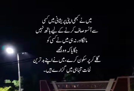 مجھے ضرورت نہیں عارضی سہاروں کی