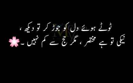 ❤💚💜❤💚💜❤💚