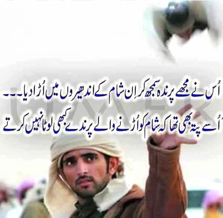 Sad Poetry image
