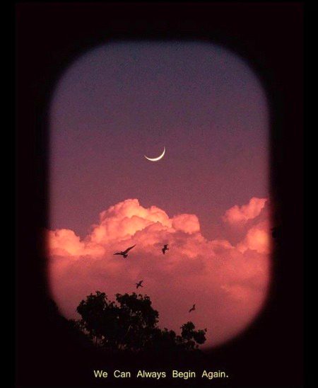 Beautiful Nature image