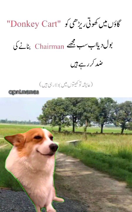 Memes & Satire image