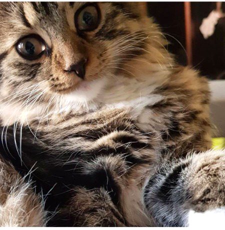 Beautiful Nature 🔥