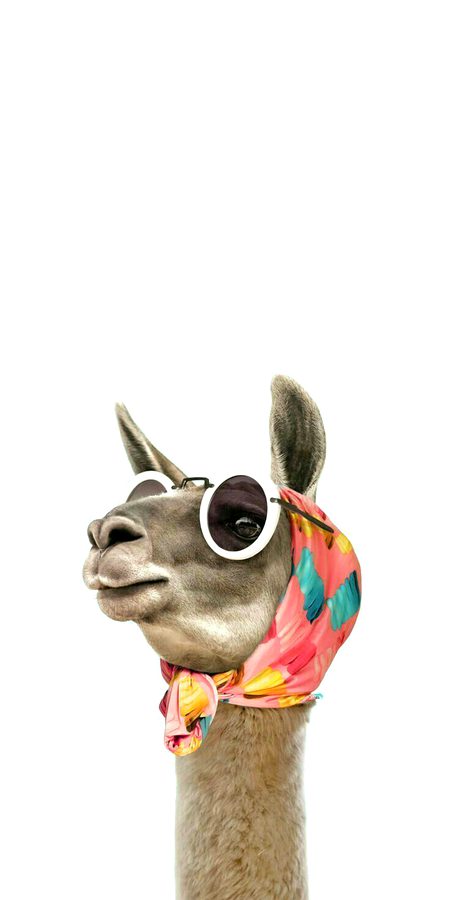 Beautiful Nature image