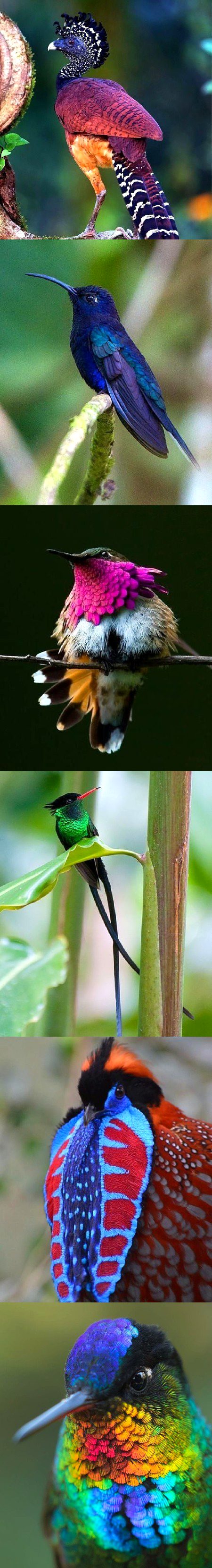 Beautiful Nature image