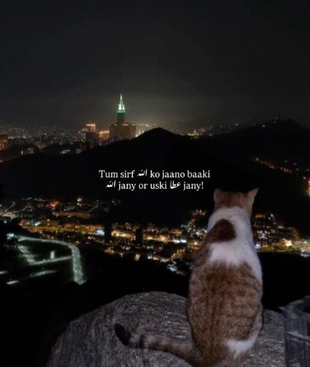 Life Advice image