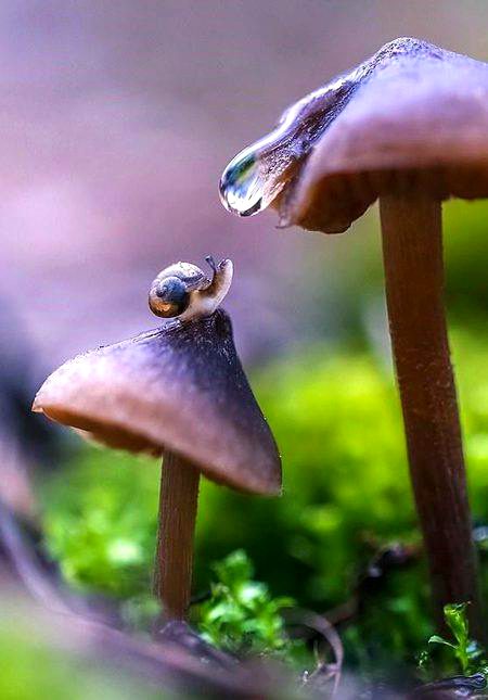 Beautiful Nature image