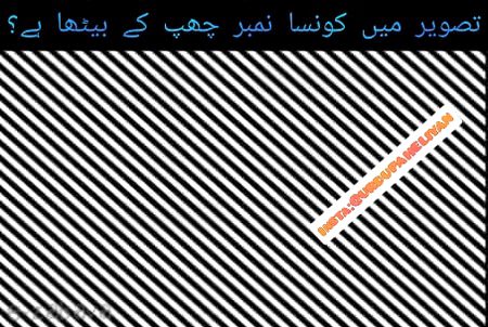 Riddles & Puzzles image