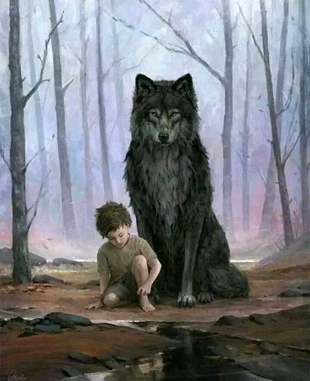 "جنہوں نے ہمیں جنگل میں اکیلا چھوڑ دیا انکو کوئی حق نہیں کہ وہ ہم سے پوچھیں بھیڑیوں نے ہمارے ساتھ کیا کیا ۔🖤