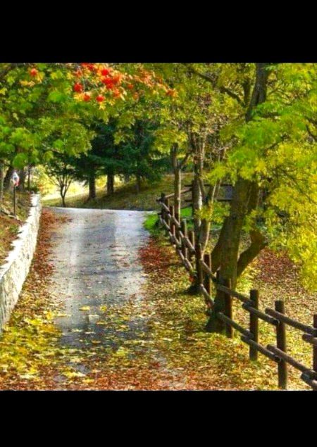 Beautiful Nature image