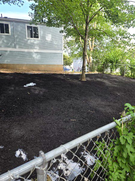My neighbor covered his yard in plastic sheeting and put mulch on top of it