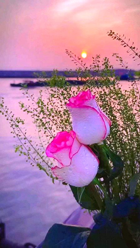 Beautiful Nature image