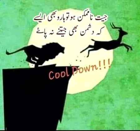 Chine oer nimak 1rag k hoty ha.🍚🍥par en my fark hota ha💔💜🌷🌺🍃🍂